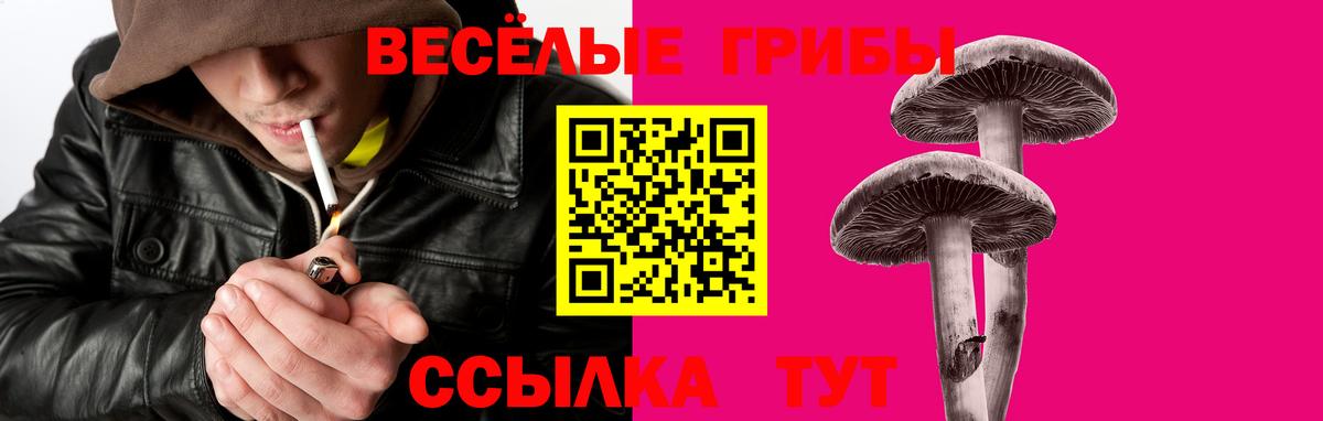 Галлюциногенные грибы прущие грибы  Вход с VPN  Донецк  Псилоцибиновые грибы мицелий 